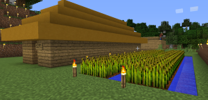 Minecraft Neolithic House and Wheat Farm